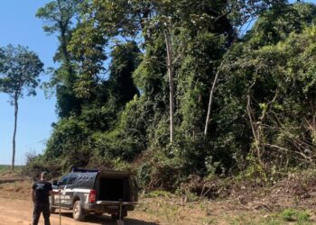 Polícia Civil localiza ossada de jovem sequestrado e morto por facção em Nova Ubiratã