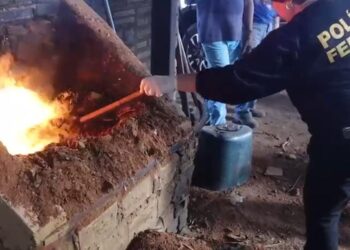 Vídeo: PF incinera cerca de 350kg de entorpecentes