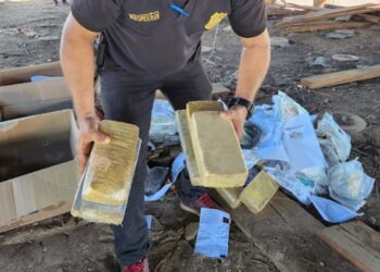 Polícia Civil incinera mais de 200 kg de drogas apreendidas durante operações em Itaituba