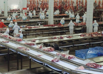 Frigoríficos perderam R$ 40 bi na Bolsa e churrasquinho se distancia