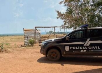 Investigado por furtos de cargas em propriedade rurais é preso pela Polícia Civil na região de Paranatinga