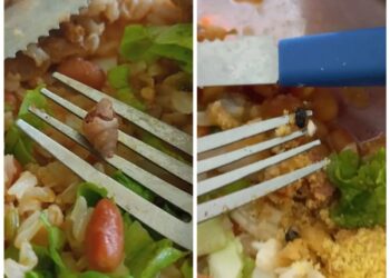 Estudantes reclamam de condições em refeitório do Ifac e relatam sujeira e até caramujo em prato: ‘situação é bem precária’ | Acre