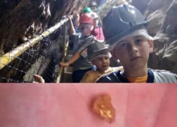 Aluno de 12 anos encontra pepita de ouro em excurso