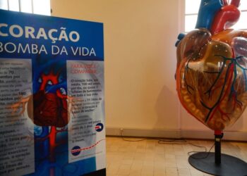 Internações por infarto aumentam mais…