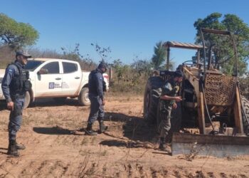 Sema apreende seis máquinas utilizadas em desmatamento ilegal