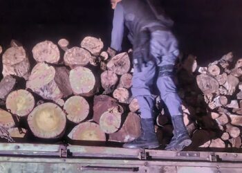 PM prende  três pessoas por crime ambiental, apreende caminhão e carga ilegal de madeira.