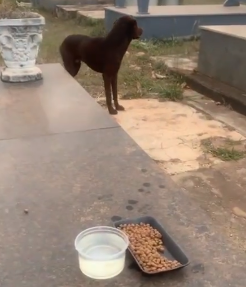 Screenshot_20230728-095422~2