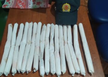 Homem é preso com 15 bananas de dinamite