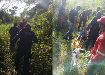 Idoso de 87 anos desaparecido em área de mata é encontrado