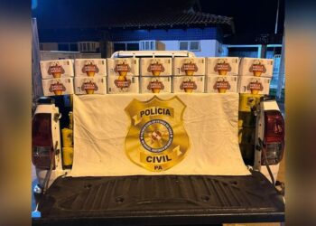 Após tombamento de carreta em Trairão, PC busca identificar responsáveis pelo furto da carga de cerveja