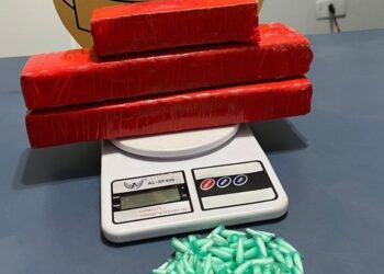 Polícia Civil apreende maconha e 153 pinos de cocaína em MT