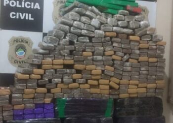 Polícia Civil apreende mais de 580 quilos de entorpecentes em rota do tráfico entre MT e MS