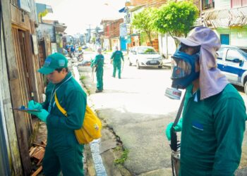 Prefeitura de Belém reabre processo seletivo para contratar mais de 1.400 agentes de saúde | Pará