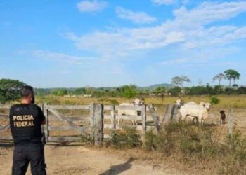 Maior devastador da Amaznia preso com ouro e arma