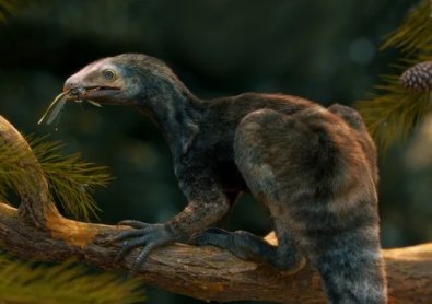 Fssil de rptil de 230 milhes de anos descoberto no