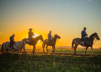 Governo do Estado institui Dia da Cavalgada em Mato Grosso