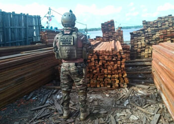 Policia Federal e IBAMA combatem desmatamento na Amazônia