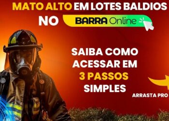 Barra do Garças: Saiba como realizar denúncias de queimadas e mato alto no município.