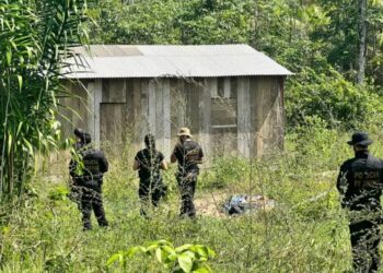 PF realiza fiscalização contra trabalho escravo na região transamazônica