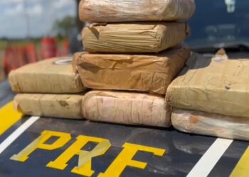 PRF apreende mais de 8 kg de maconha em Altamira, no PA