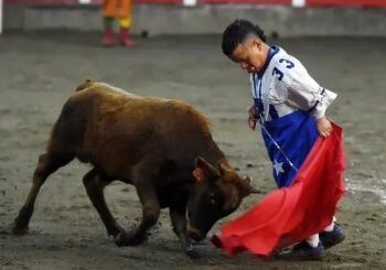 ‘Toureiros anões’ se apresentam após proibição de espetáculos