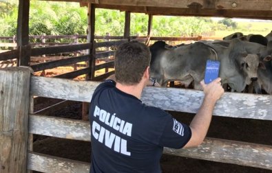 TJ mantm inqurito por furto de gado contra advogado envolvido