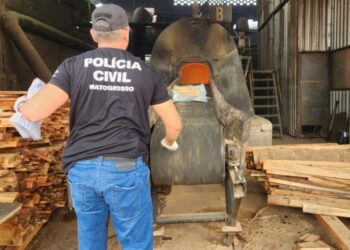 Polícia Civil incinera 200 quilos de entorpecentes apreendidos em Sinop