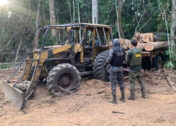 Sema e PM apreendem madeira retirada de estação ecológica