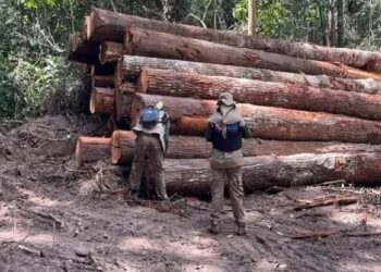 Força Nacional desembarca em Novo Progresso para reforço nas operações da PF