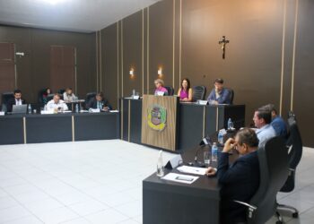 Câmara aprova projeto que adota o ‘cordão de girassol’ para identificação de pessoas com deficiência não visível