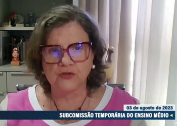 Novo Ensino Médio: subcomissão encerra debates e foca em relatório final