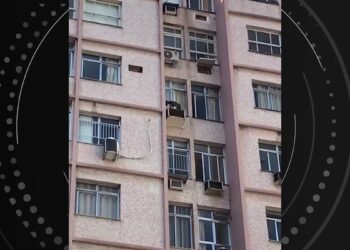 Cão foge e vai parar em cima de ar-condicionado; resgate mobiliza moradores do Flamengo
