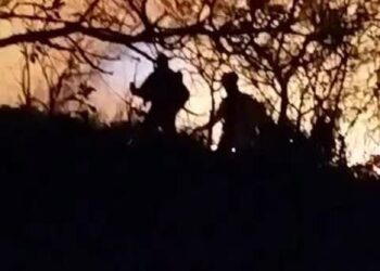 Corpo queimado causa incêndio no Parque da Serra do Rola-Moça, diz bombeiros | Minas Gerais