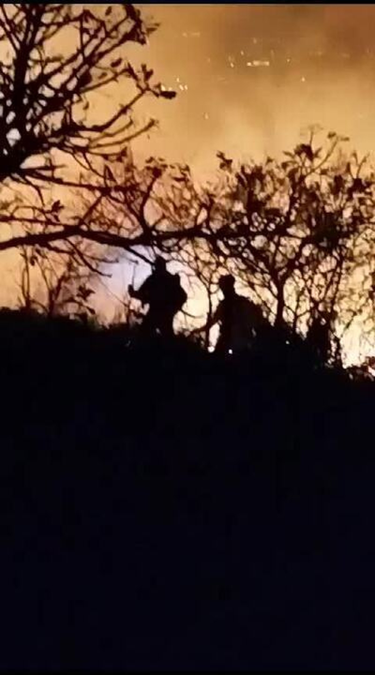 Corpo queimado causa incêndio no Parque da Serra do Rola-Moça,