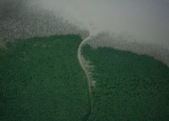 Em licença negada à Petrobras, Ibama vê petróleo inviável para além da Foz do Amazonas