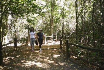Brasil tem mais de 10 mil quilmetros de trilhas cadastradas