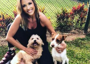 Luisa Mell condenada por resgatar co que no sofria maus-tratos