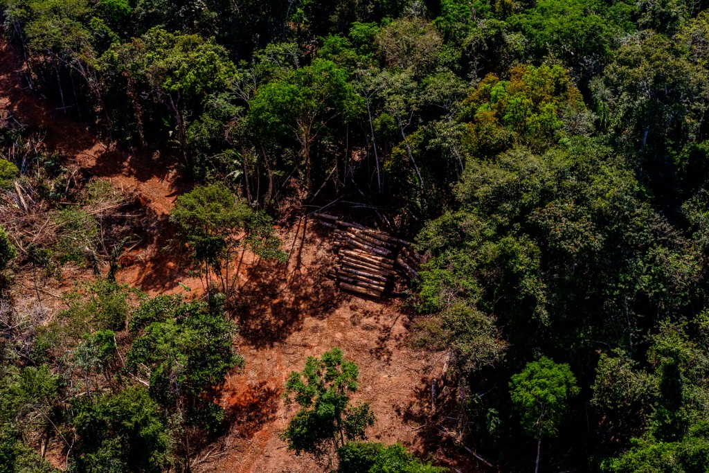 Investigação da Polícia Civil resulta em operação contra organização que