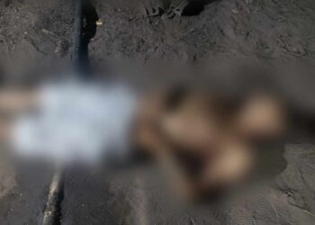 Homem é executado com tiros em Juruti, no PA