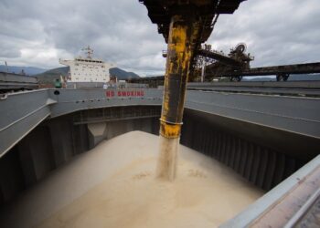 Brasil terá recordes para açúcar em 2023/24, com 50% do comércio global