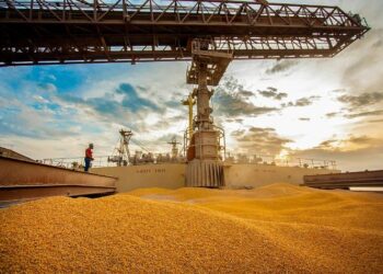 Anec reduz embarques de grãos do Brasil em setembro, mas ainda vê recorde para milho