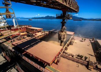 Safras prevê novos recordes para esmagamento e exportação de soja do Brasil em 2024