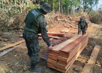 Fazendeiro é multado em mais de R$ 100 mil por desmatamento ilegal