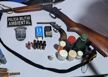 Operação Ambiental em Nova Xavantina resulta na prisão de suspeito por crime ambiental e posse ilegal de armas.