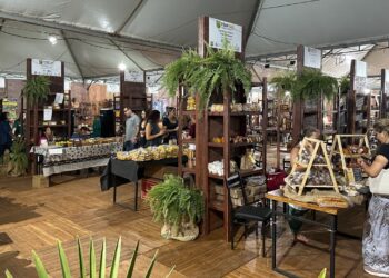 Prefeitura de Barra do Garças promove Feira da Agricultura Familiar durante 38º Expoleste.