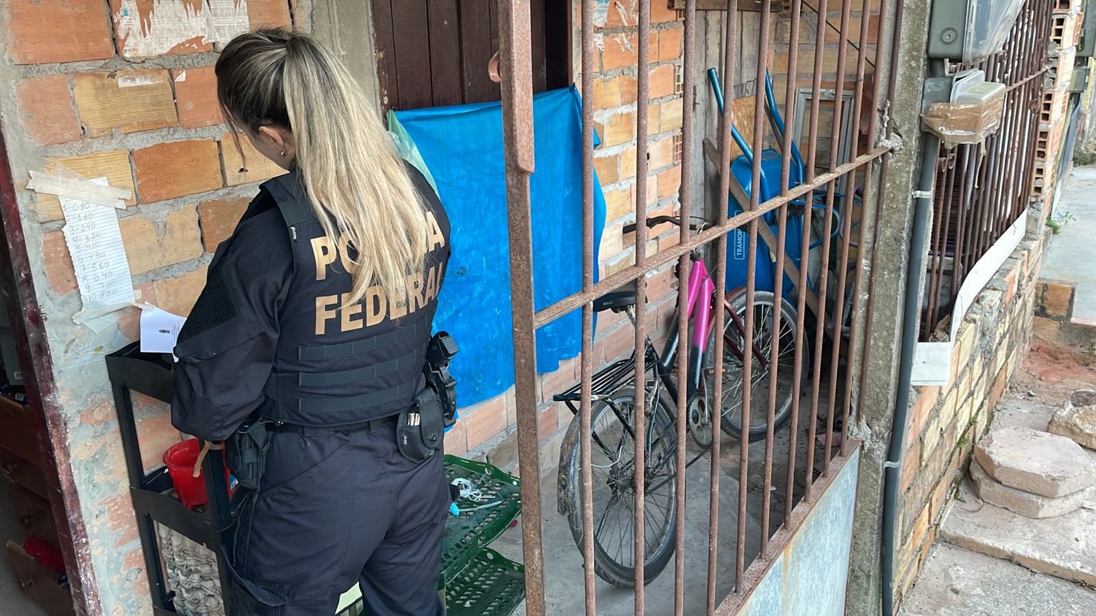PF prende suspeito de armazenar pornografia infantojuvenil