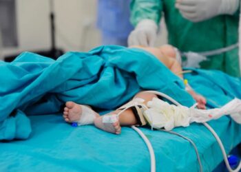 Meninos de 7 a 14 anos, dentro de casa e lesões na cabeça: pesquisa traça perfil das crianças vítimas de acidentes com cães | Campinas e Região