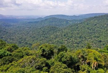 Amaznia um dos focos da ONU para a Agenda 2030