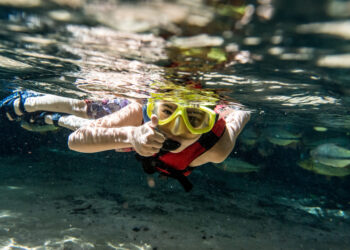 MT divulga turismo, potência econômica e diversidade cultural na maior feira multisetorial da América do Sul