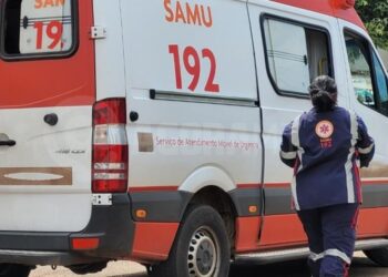 Idoso morre após ter sido picado por cobra em lavoura em Sinop